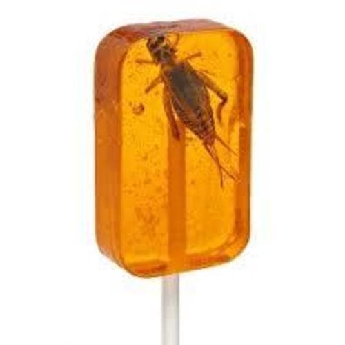 Hotlix Cricket Lick-it Suckers • Orange