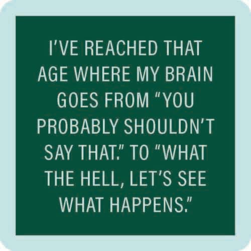 Dom Coaster • Shouldn't Say That